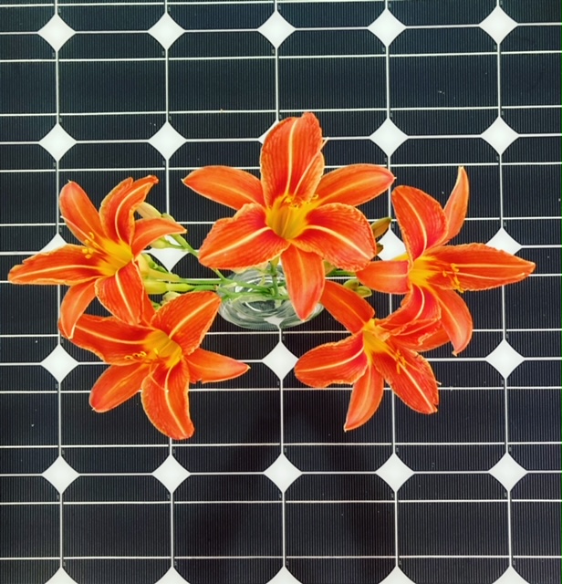 Solar Flower
